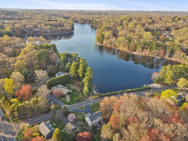 12 Canoe Brook Rd, Trumbull, CT 06611 - bird's eye view with a forest view and a water view