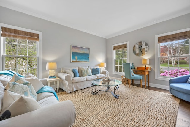 12 Canoe Brook Rd, Trumbull, CT 06611 - living area with crown molding, wood finished floors, and baseboards