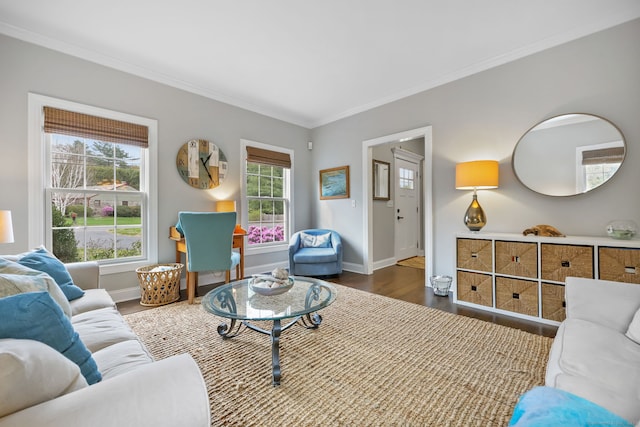 12 Canoe Brook Rd, Trumbull, CT 06611 - living room with baseboards, wood finished floors, crown molding, and plenty of natural light