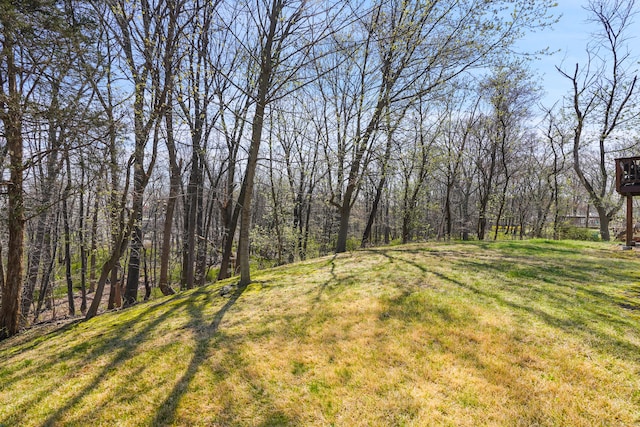 2 Benson Dr, Danbury, CT 06810 - view of yard with a forest view