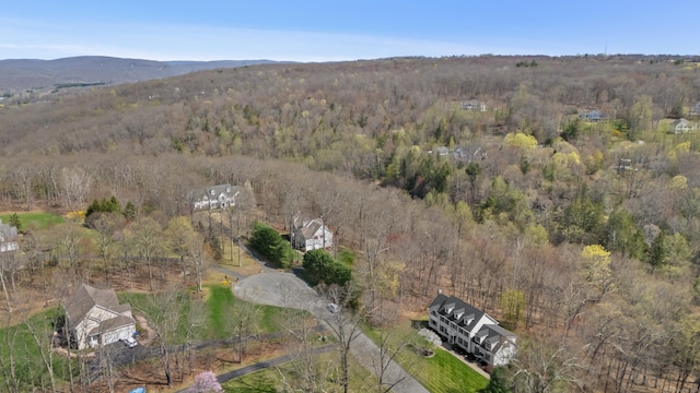 10 Granite Rd, New Milford, CT 06776 - bird's eye view featuring a view of trees