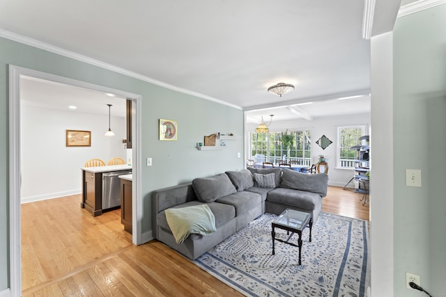 11 Knollwood Dr, Newtown, CT 06470 - living area featuring baseboards, ornamental molding, and light wood-type flooring
