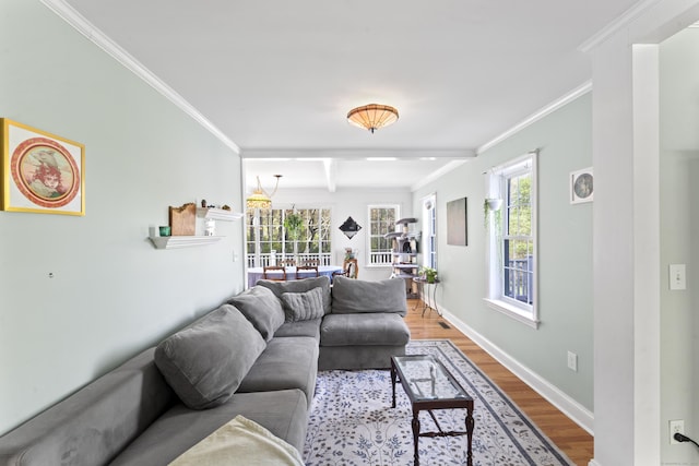 11 Knollwood Dr, Newtown, CT 06470 - living area featuring crown molding, beam ceiling, plenty of natural light, and light wood-style flooring