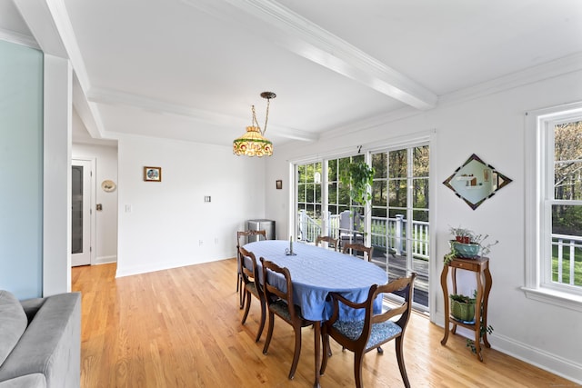 11 Knollwood Dr, Newtown, CT 06470 - dining area with baseboards, ornamental molding, beamed ceiling, and light wood-type flooring
