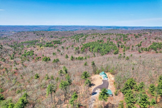 254 Wright Rd, Canton, CT 06019 - drone / aerial view of a heavily wooded area