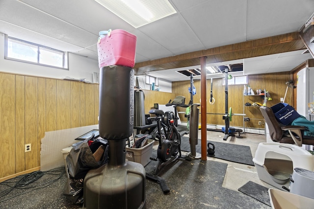 below grade area featuring wood walls