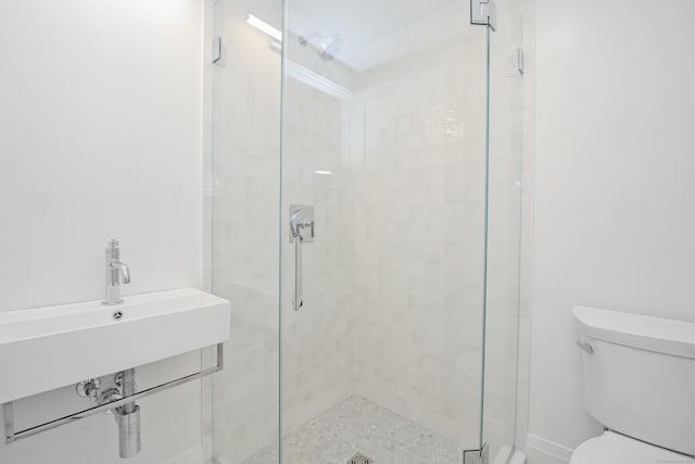 bathroom featuring a sink, a shower stall, and toilet