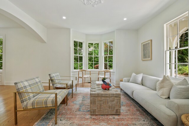 66 Seminary St, New Canaan, CT 06840 - living room featuring recessed lighting, wood finished floors, and arched walkways