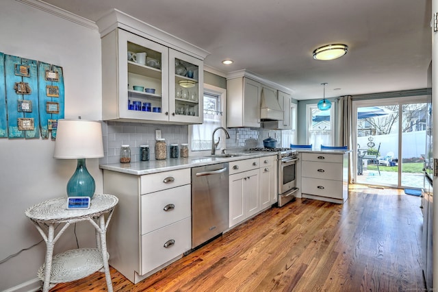 kitchen with a sink, tasteful backsplash, custom exhaust hood, wood finished floors, and appliances with stainless steel finishes