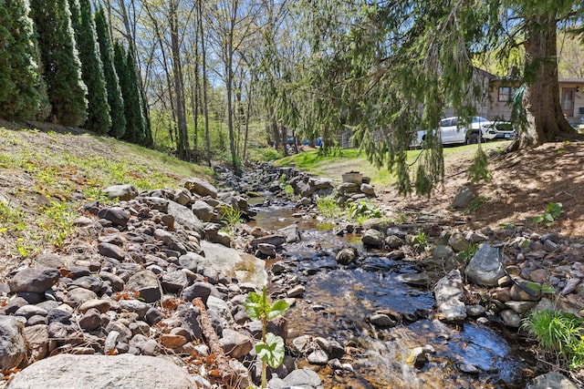 view of local wilderness