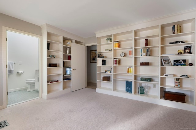 unfurnished room featuring carpet