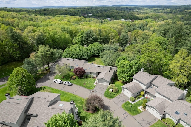 aerial view of a forest