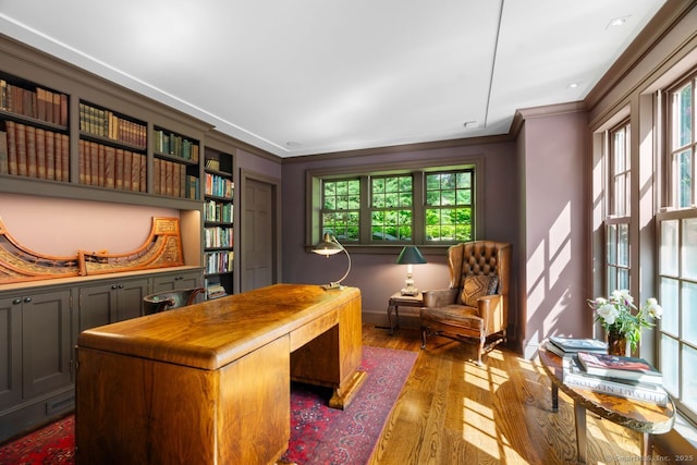 66 Hedlund Rd, East Haddam, CT 06423 - office space featuring ornamental molding, wood finished floors, and baseboards