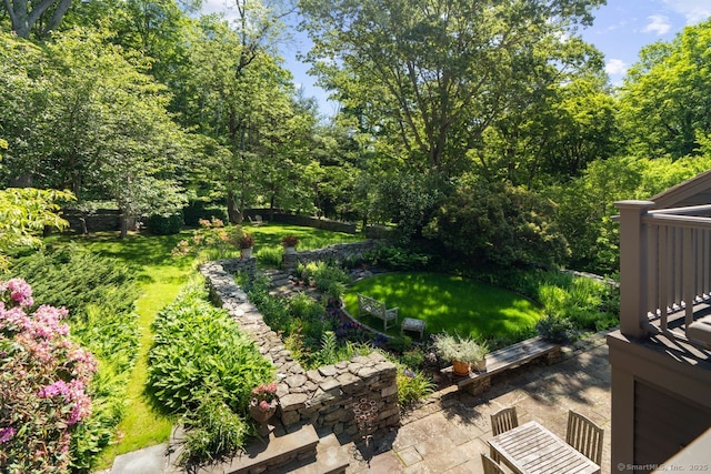 66 Hedlund Rd, East Haddam, CT 06423 - view of green lawn featuring a patio