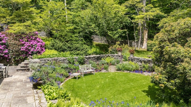 66 Hedlund Rd, East Haddam, CT 06423 - view of grassy yard with a patio area