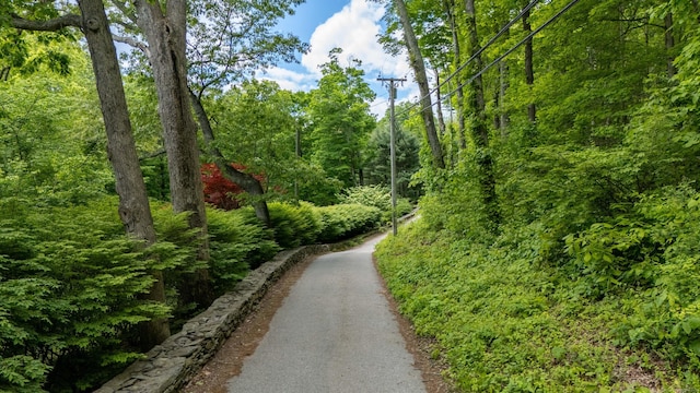 66 Hedlund Rd, East Haddam, CT 06423 - surrounding community with a wooded view