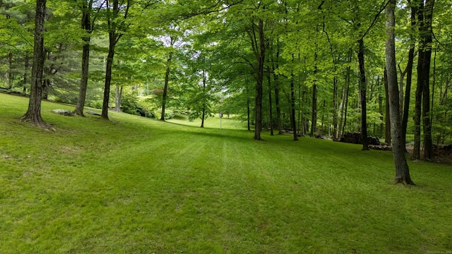 66 Hedlund Rd, East Haddam, CT 06423 - view of green lawn