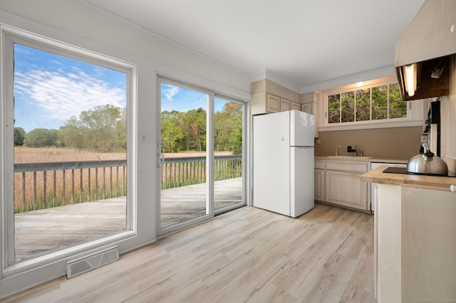 302 Ferry Rd, Old Lyme, CT 06371 - kitchen featuring freestanding refrigerator, butcher block countertops, light wood-type flooring, a sink, and ornamental molding
