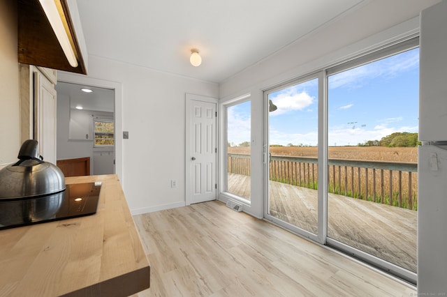 302 Ferry Rd, Old Lyme, CT 06371 - entryway with light wood-type flooring, healthy amount of natural light, and baseboards