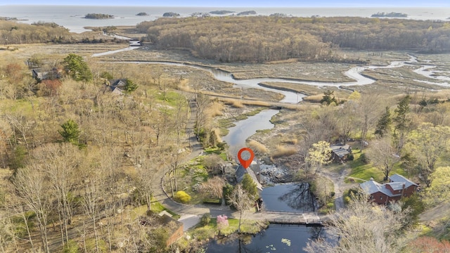 55-69 Sawmill Rd, Branford, CT 06405 - bird's eye view with a water view and a forest view