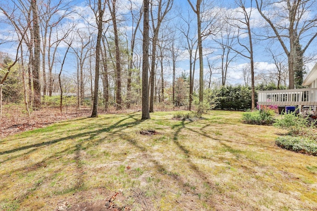 view of yard featuring a wooden deck