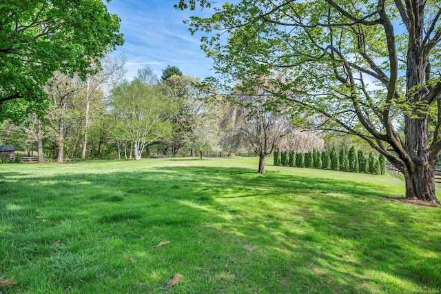 view of yard