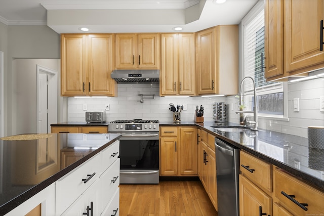 kitchen featuring under cabinet range hood, appliances with stainless steel finishes, crown molding, and a sink