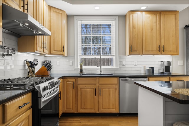 kitchen with under cabinet range hood, backsplash, appliances with stainless steel finishes, and a sink