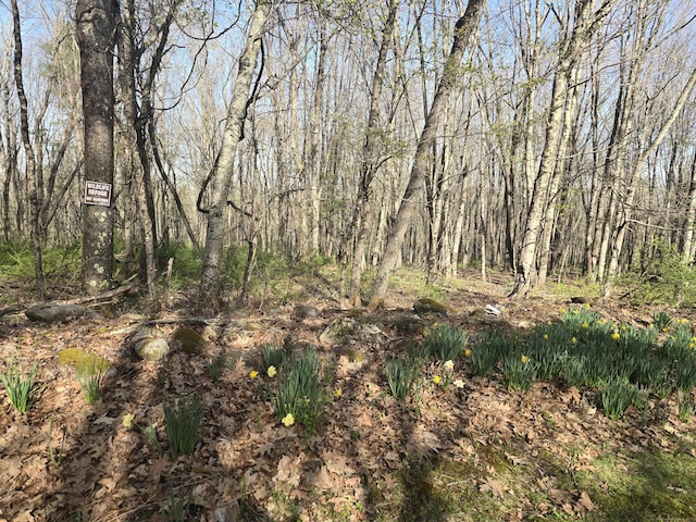 120 Roosevelt Avenue Extension, Litchfield, CT 06750 - view of undeveloped land