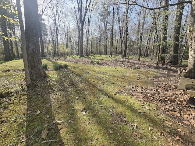 120 Roosevelt Avenue Extension, Litchfield, CT 06750 - view of tree filled area