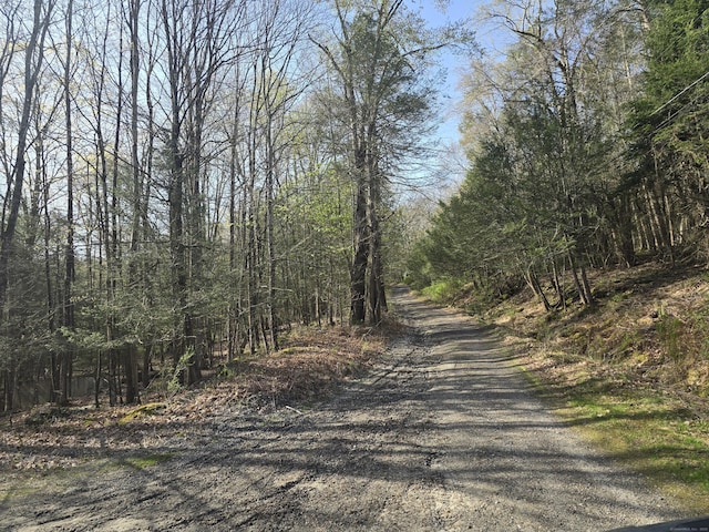 120 Roosevelt Avenue Extension, Litchfield, CT 06750 - view of street with a view of trees