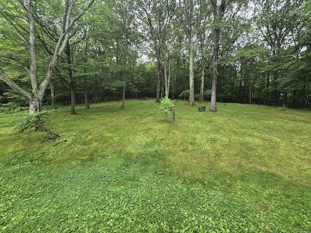 120 Roosevelt Avenue Extension, Litchfield, CT 06750 - photo 2