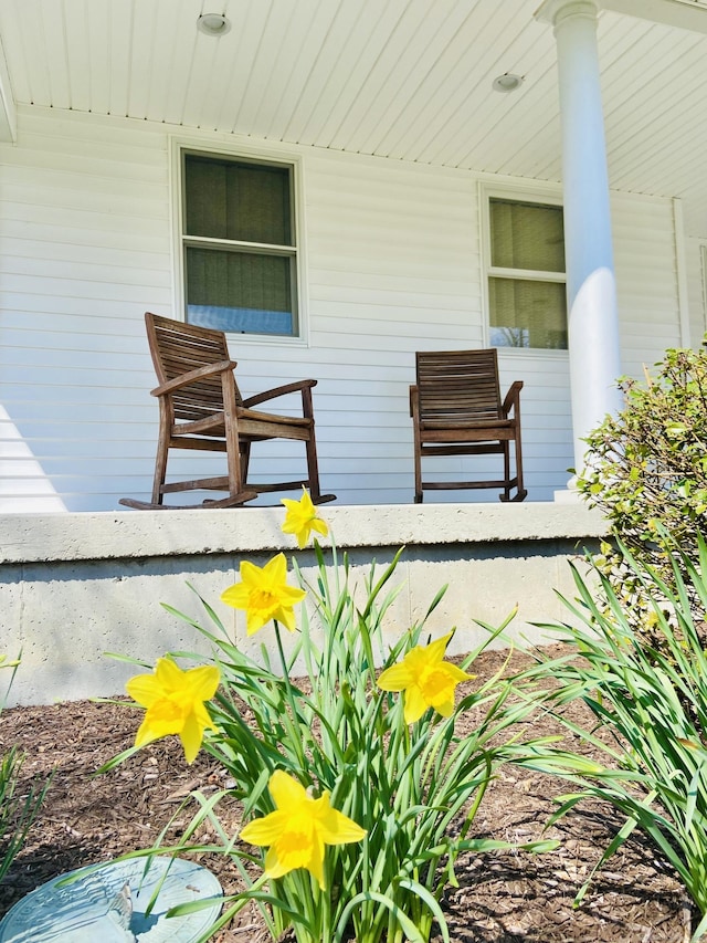 view of patio / terrace featuring covered porch