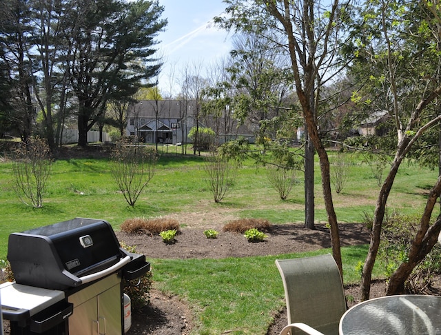 1 E Hayestown Rd Unit 142, Danbury, CT 06811 - view of yard