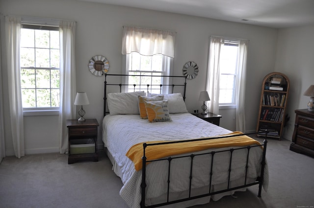1 E Hayestown Rd Unit 142, Danbury, CT 06811 - bedroom with baseboards and carpet flooring