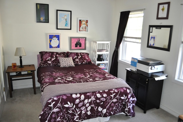 1 E Hayestown Rd Unit 142, Danbury, CT 06811 - carpeted bedroom featuring baseboards and multiple windows