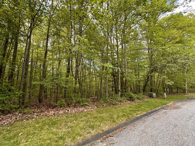 332 Chimneysweep Hill Rd, Glastonbury, CT 06033