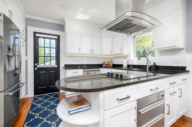 kitchen with a healthy amount of sunlight, appliances with stainless steel finishes, island exhaust hood, and dark wood-type flooring