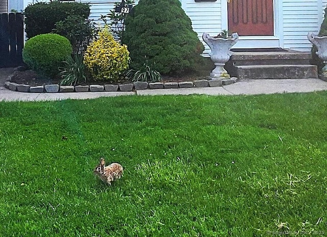 97 Waterbury Ave, Stamford, CT 06902 - view of grassy yard