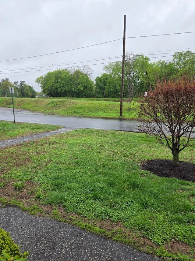 71 Arthur St Apt 2, Torrington, CT 06790 - view of grassy yard