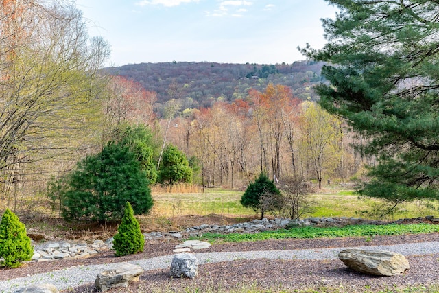 exterior space featuring a wooded view