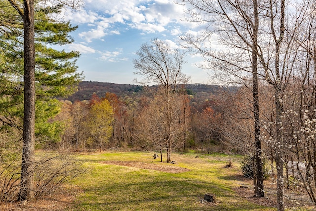 view of local wilderness with a wooded view