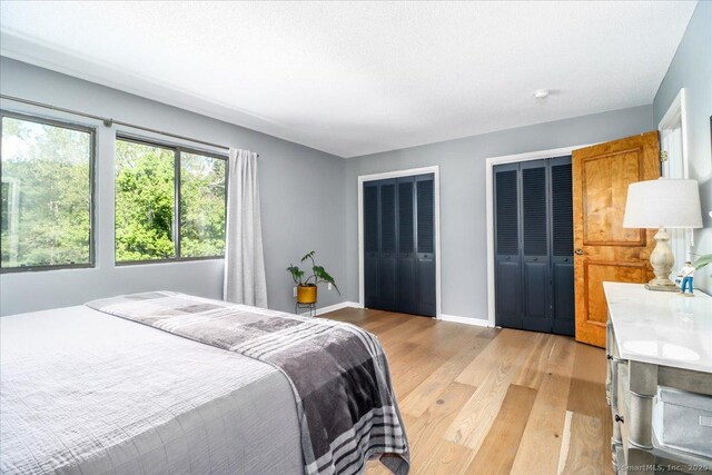 61 Wickhams Fancy Unit 61, Canton, CT 06019 - bedroom featuring light wood finished floors, two closets, and baseboards