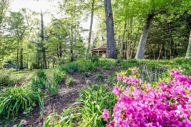 61 Wickhams Fancy Unit 61, Canton, CT 06019 - view of local wilderness