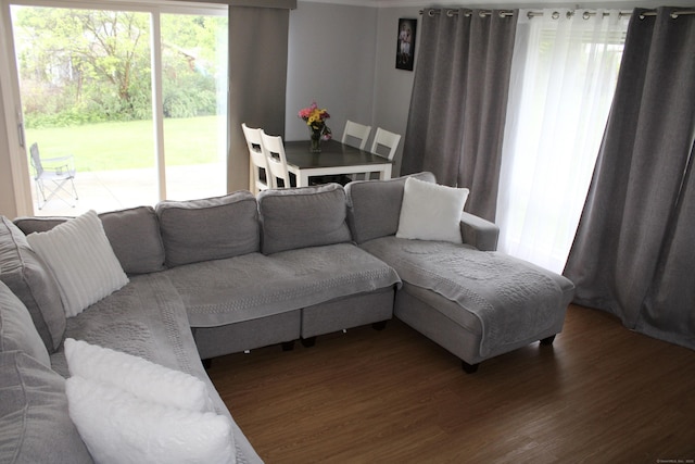 living room featuring wood finished floors