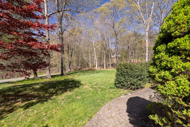 114 Cobbler Ln, Southbury, CT 06488 - view of yard