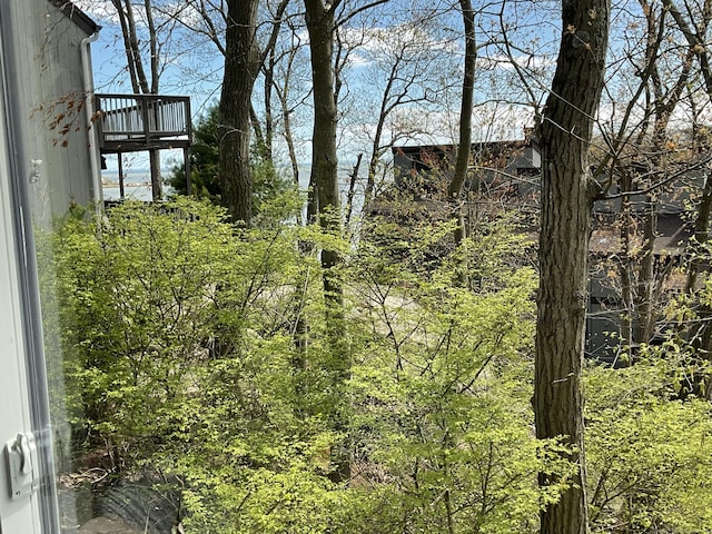 view of yard with a balcony