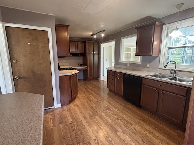 14 N Washington Ave, East Lyme, CT 06357 - kitchen featuring dishwasher, light wood-type flooring, light countertops, decorative light fixtures, and track lighting