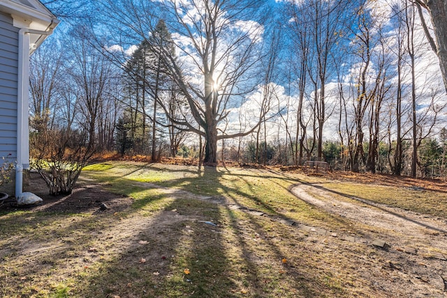 48 Jerusalem Hl, Trumbull, CT 06611 - view of yard