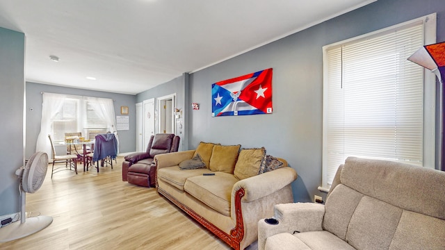living room featuring light wood-type flooring